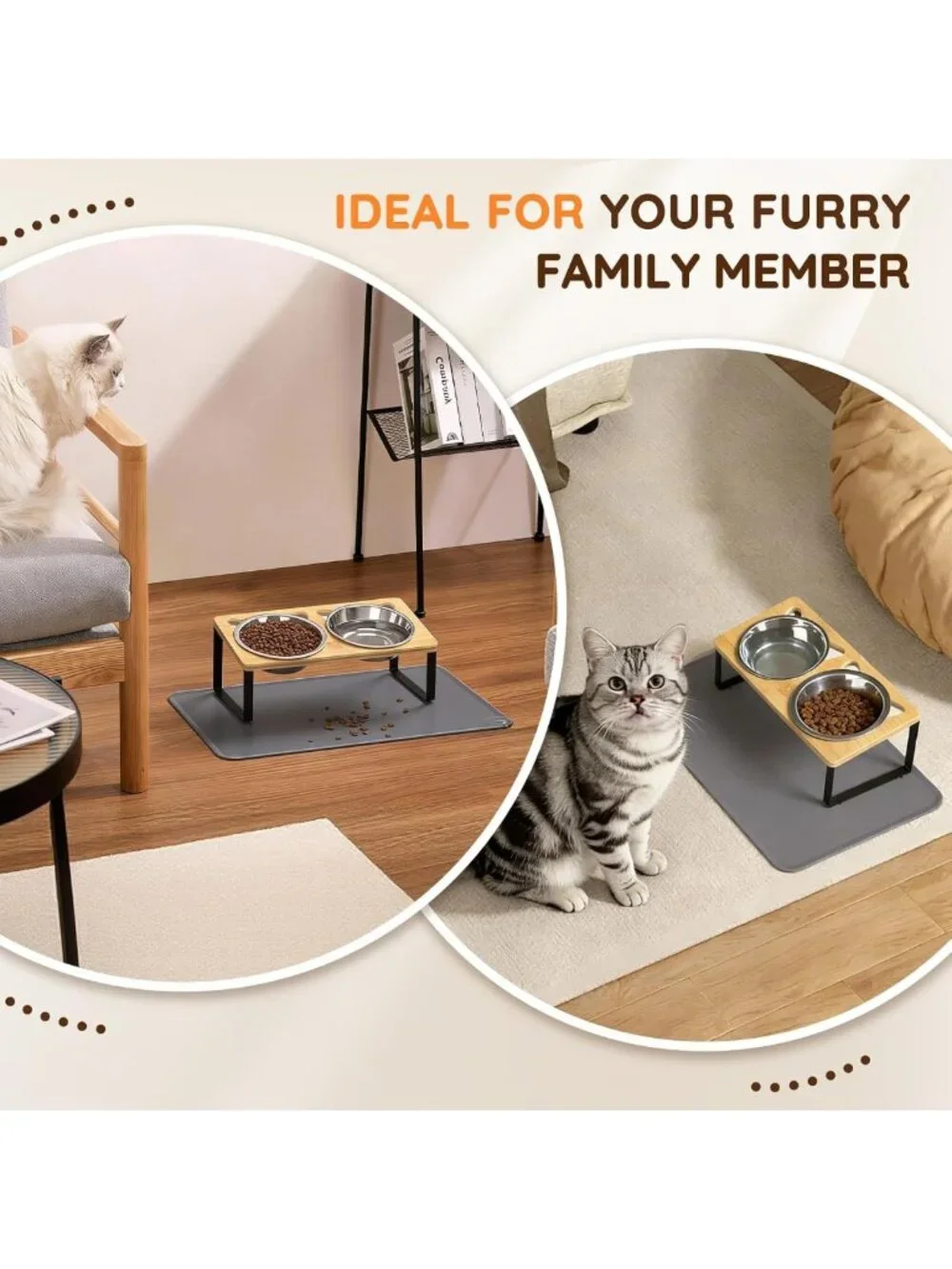 Elevated Stainless Steel Cat Bowls with Mat - Anti-Vomiting, Whisker Fatigue